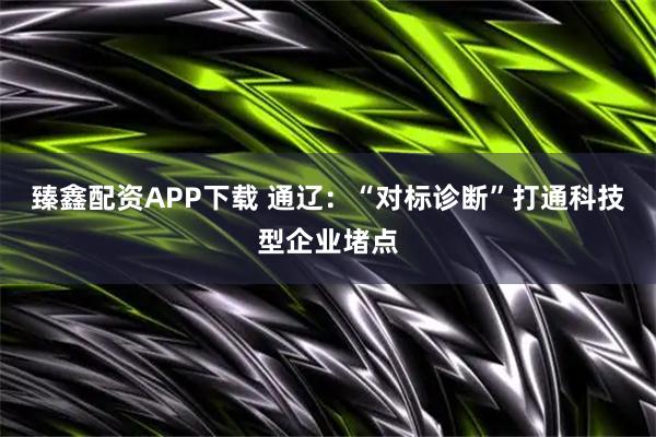 臻鑫配资APP下载 通辽：“对标诊断”打通科技型企业堵点